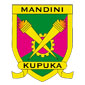 Mandini Academy