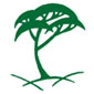 Tree Tops School