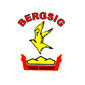 Bergsig Akademie