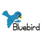 Bluebird Pre-Primary School