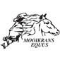 Mooikrans Equus